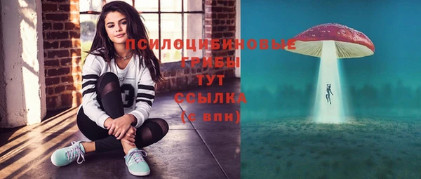 бутират Алзамай