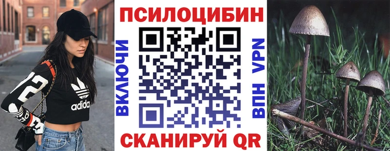 закладки Феодосия Галлюциногенные грибы мухоморы